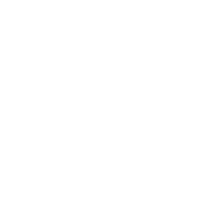 vector1